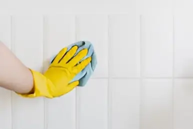 limpiezas de casas profesionales